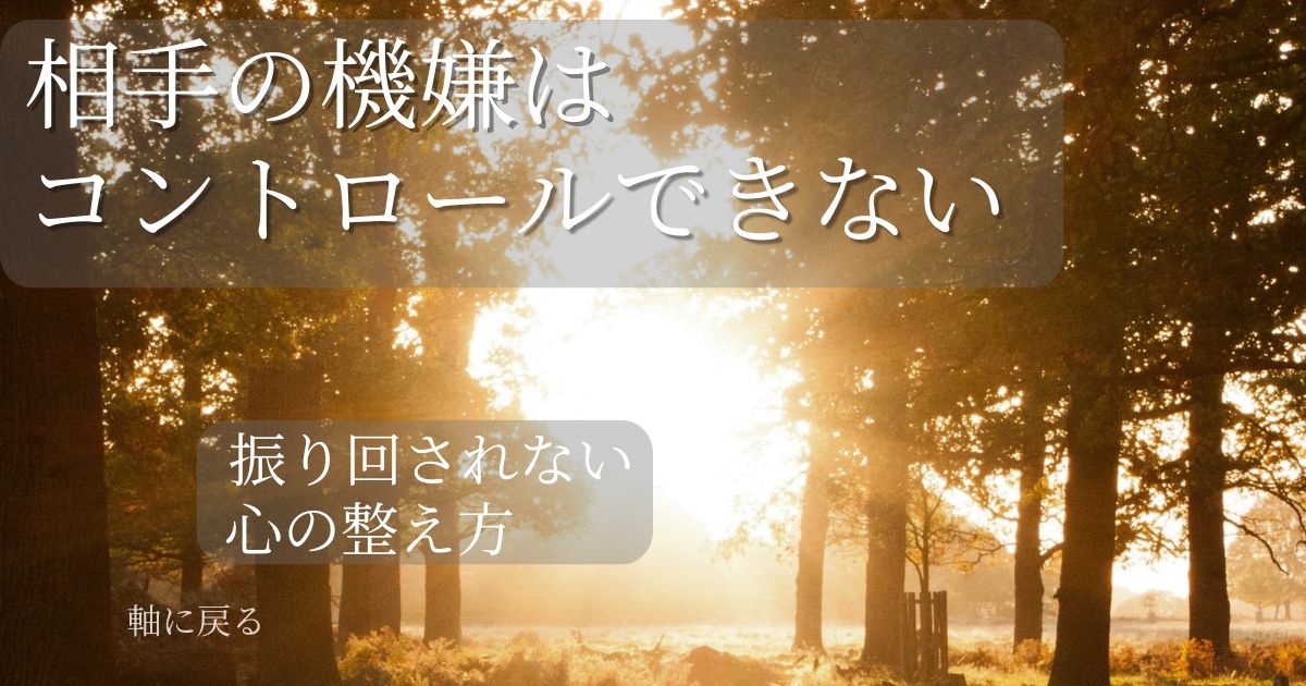 人の機嫌に振り回されない心の整え方を表す光の差す森の風景